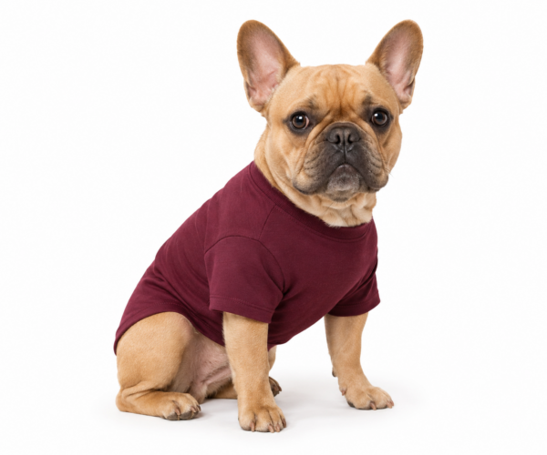 ChatGPT Image 15 jun 2026, 01_28_23 p.m. Playera Básica para Perros Variedad de Colores