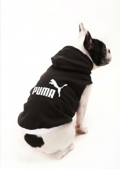 Gemini_Generated_Image_1pt7rm1pt7rm1pt7 Sudadera para perro con diseño