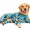 Gemini_Generated_Image_ixafwuixafwuixaf Pijama Onesie Premium para Perros: Estampado